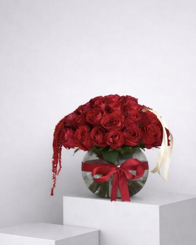 فازة الحب 50