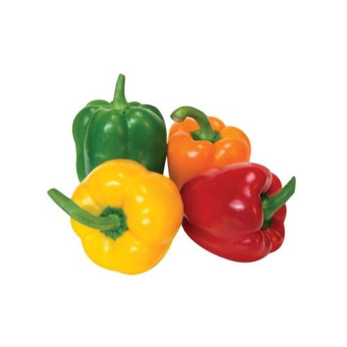 صحن فلفل رومي بارد مشكل 1كج