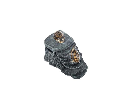 TURTLE FITLER BASKING PLATFORM - فلتر ماء للسلاحف...