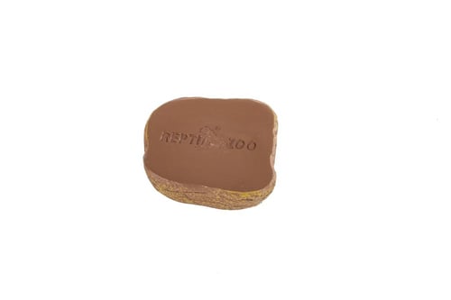 MAGNETIC ANTI-ESCAPE WORM AND WATER DISH