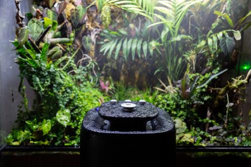 Intelligent Deluxe Rainforest System - جهاز استمطا...