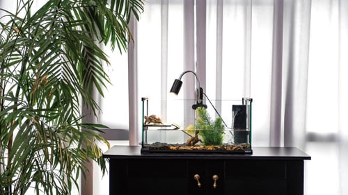 REPTILE DIMMING AND TIMING CLIP LAMP COMBO MAX.50W...