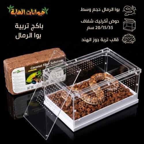باكج تربية بوا الرمال - Sand Boa Package