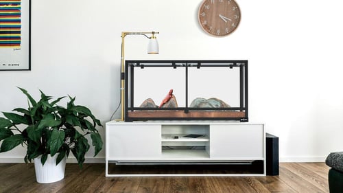 REPTIZOO HOME PROJECT Retractable lamp holder - Go...