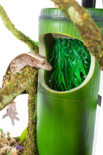 2 IN 1 BAMBOO DRINKING FOUNTAIN & FOOD DISH - شلال...