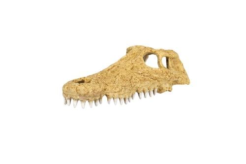 CROCODILE SKULL HIDE CAVE 10.8*6.3*3.8CM