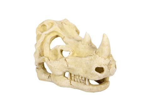 RHINO SKULL HIDE CAVE 22.5*14*14.7CM - مخبأ بشكل ج...