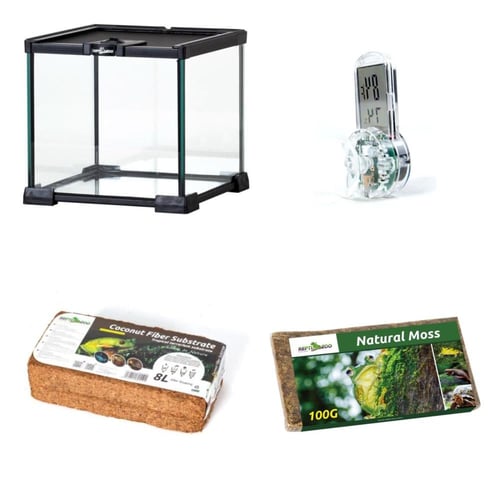 طقم تربية الضفادع #1