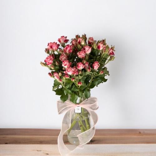 فازة بيبي جوري طبيعي