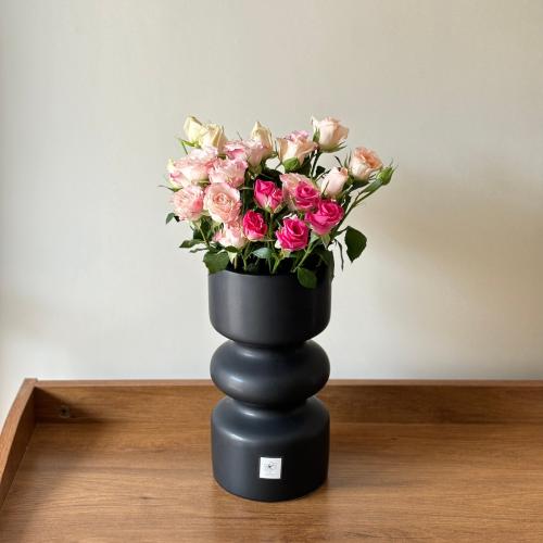 فازة بيبي جوري