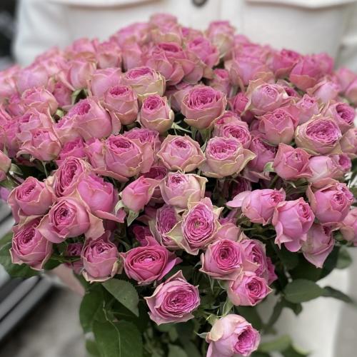 بيبي جوري #4