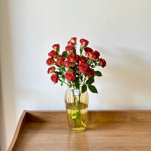 فازة يوم التأسيس