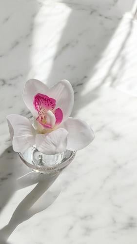 فازة طاولات خدمة