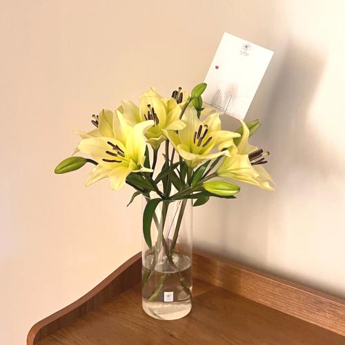 فازة ليليوم