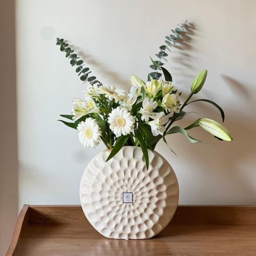 فازة الستروميريا وجربيرا طبيعي