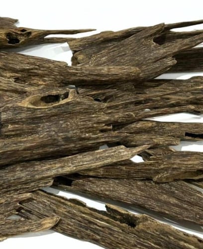 عود نجلاند هندي دبل