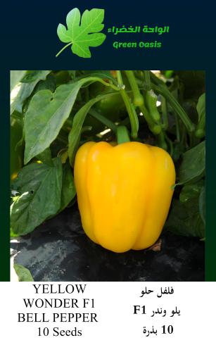 فلفل يلو وندر F1