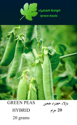 بازلاء خضراء هجين