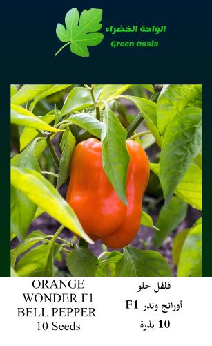 فلفل اورانج وندر F1