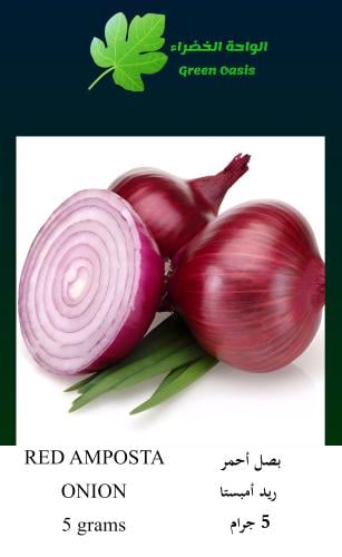 بصل ريد امبوستا