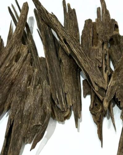 عود نجلاند هندي دبل