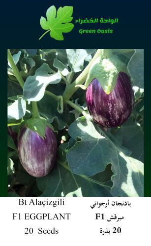 باذنجان مقدوس F1