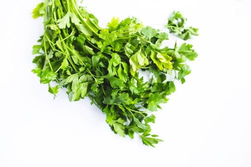 بذور بقدونس