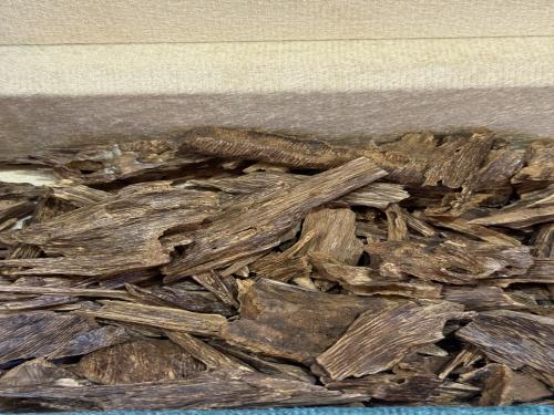 موري سوبر مرتفع ودبل