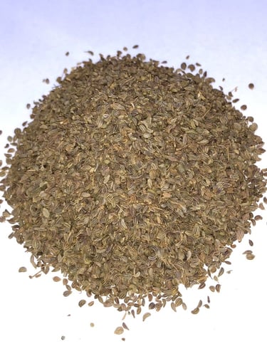 بذور بقدونس