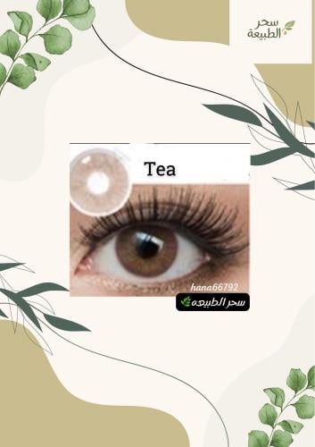 عدسات