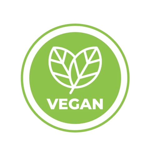 كريم أساس كومفلاج بيج نود - N°513 - غاليور باريس