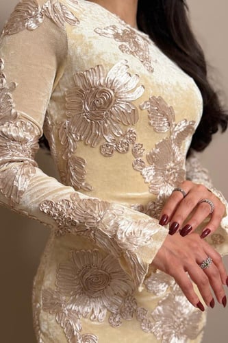فستان بيج فاخر بتفاصيل دانتيل بارزة وقصة ميمزه أني...