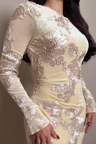 فستان بيج فاخر بتفاصيل دانتيل بارزة وقصة ميمزه أني...