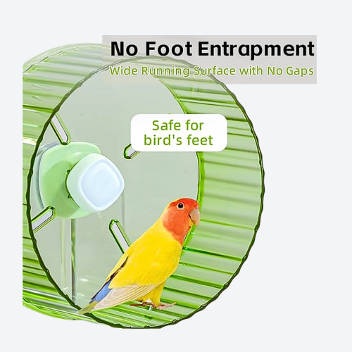 لعبة عجلة دوارة للطيور