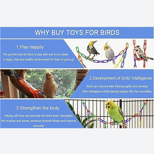 100 قطعة من حلقات بلاستيكية للطيور