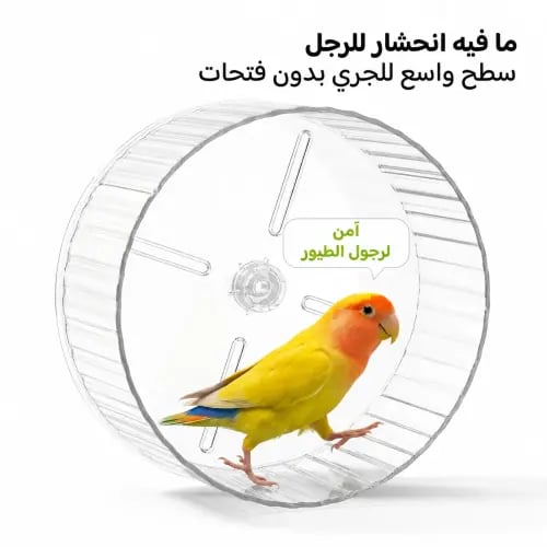 لعبة عجلة دوارة للطيور