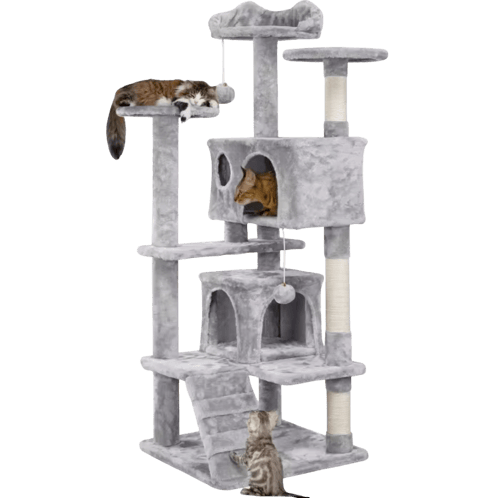 خداشة قطط كبيرة مع بيت وكرة تفاعليه