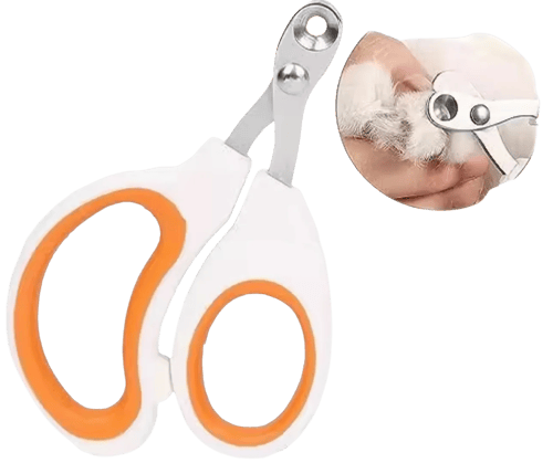 مجموعة تربية القطط