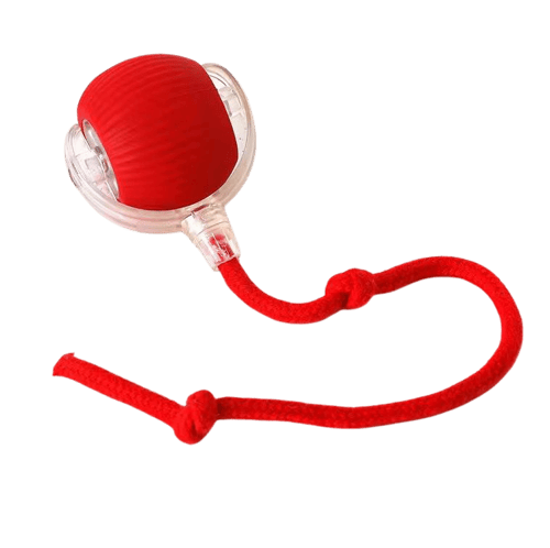 كرة لعبة للقطط