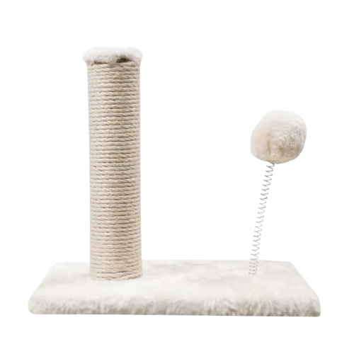 مجموعة تربية القطط