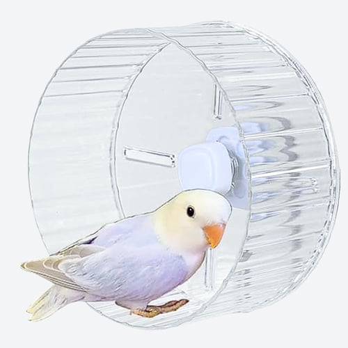 لعبة عجلة دوارة للطيور