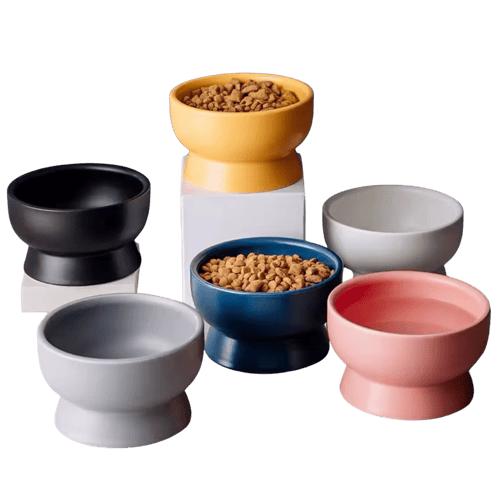 مجموعة تربية القطط