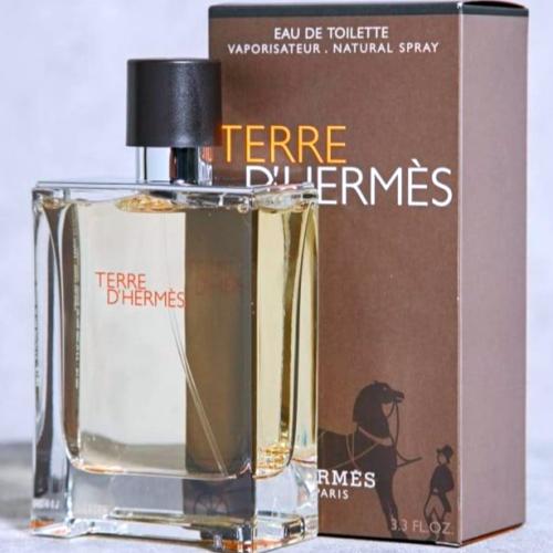Hermes Terre d'Hermes Eau de Toilette 100ml