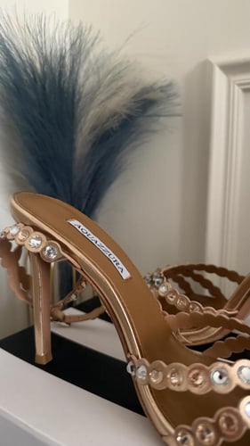 هيلز اكوارزورا