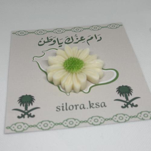 توزيعات اليوم الوطني