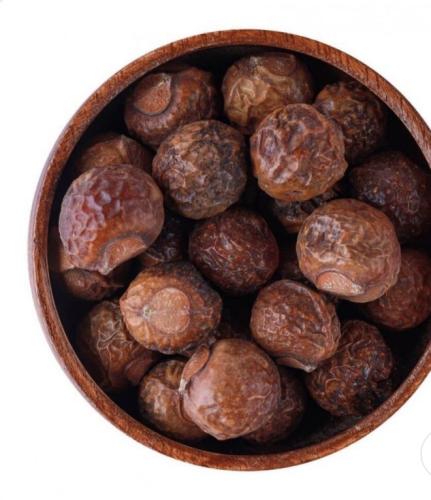 عشبة ريثا الهندية