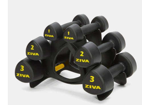 ZIVA Studio Dumbbells زيفا استوديو دمبلز – سلسلة س...
