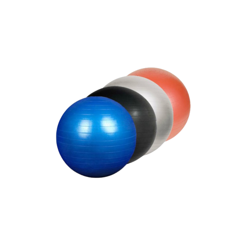 Anti-Burst Gym Ball [WJ Fitness | WJ-X0082] كرة يو...