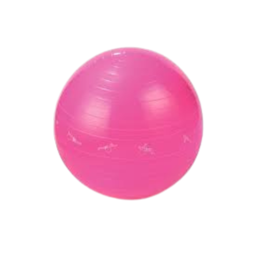 Anti-Burst Gym Ball [MD Buddy | MD1225] كرة يوجا ر...