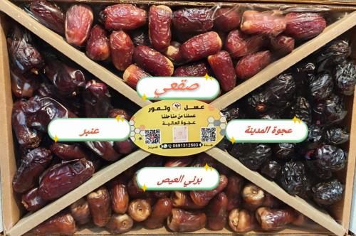 تشكيلة تمر عائلية فاخرة 3 كجم